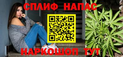 гашик Пыть-Ях